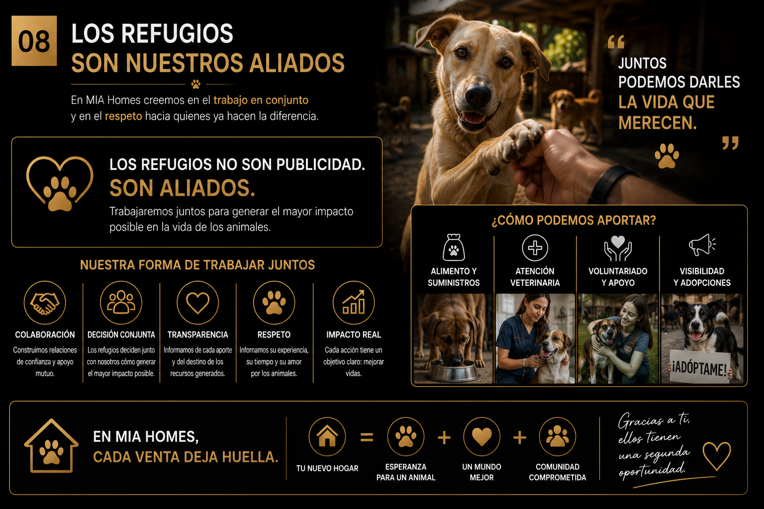 MIA Homes - Diapositiva 8